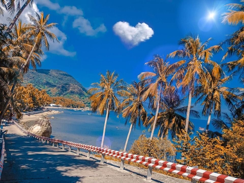 Đường ven biển có hàng dừa ở Lại Sơn